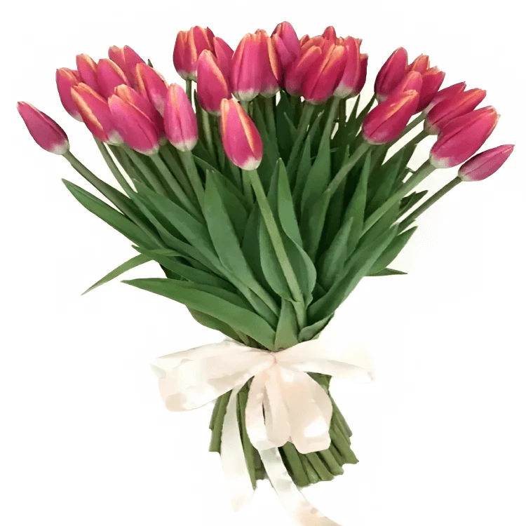 Фото 1: 31 малиново-красный тюльпан Сортовые тюльпаны. Сервис доставки цветов AzaliaNow