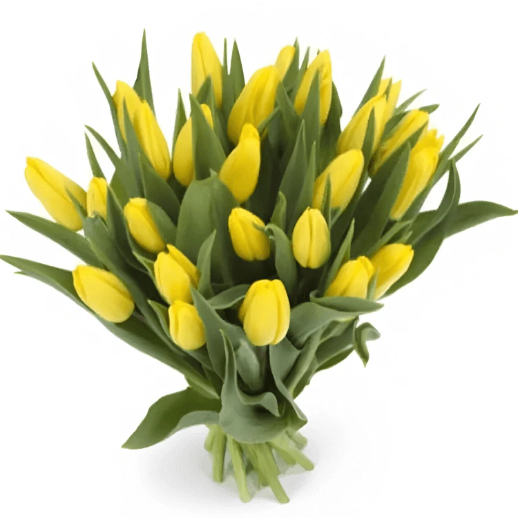 Фото 1: 31 желтый тюльпан Сортовые тюльпаны. Сервис доставки цветов AzaliaNow