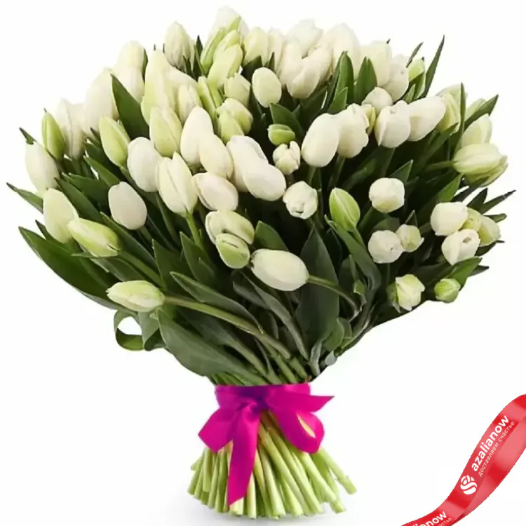Фото 1: 101 белый тюльпан. Сервис доставки цветов AzaliaNow