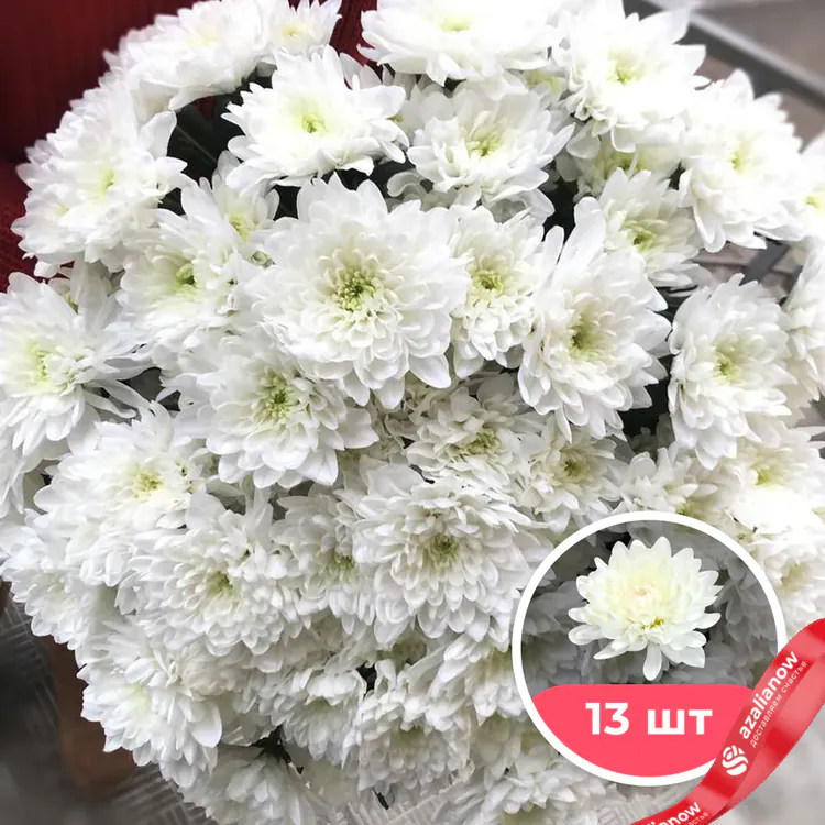 Фото 1: 13 белых кустовых хризантем. Сервис доставки цветов AzaliaNow