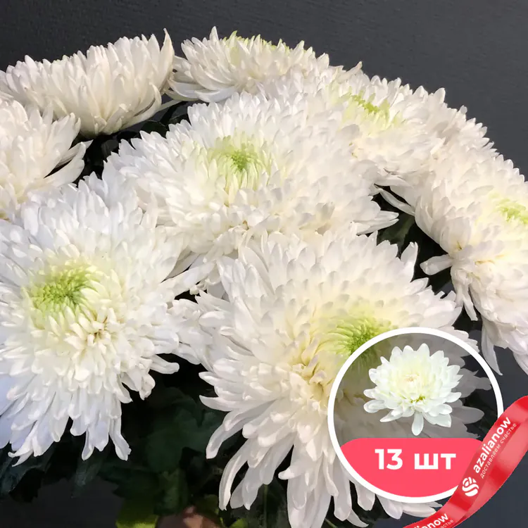 Фото 1: 13 белых одноголовых хризантем. Сервис доставки цветов AzaliaNow