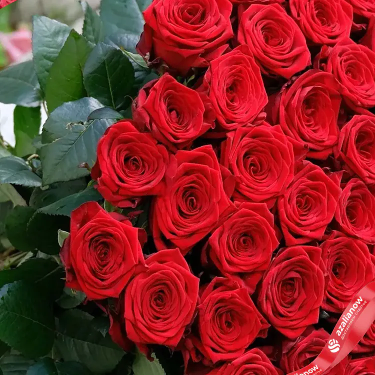 Фото 1: 25 красных роз без упаковки. Сервис доставки цветов AzaliaNow