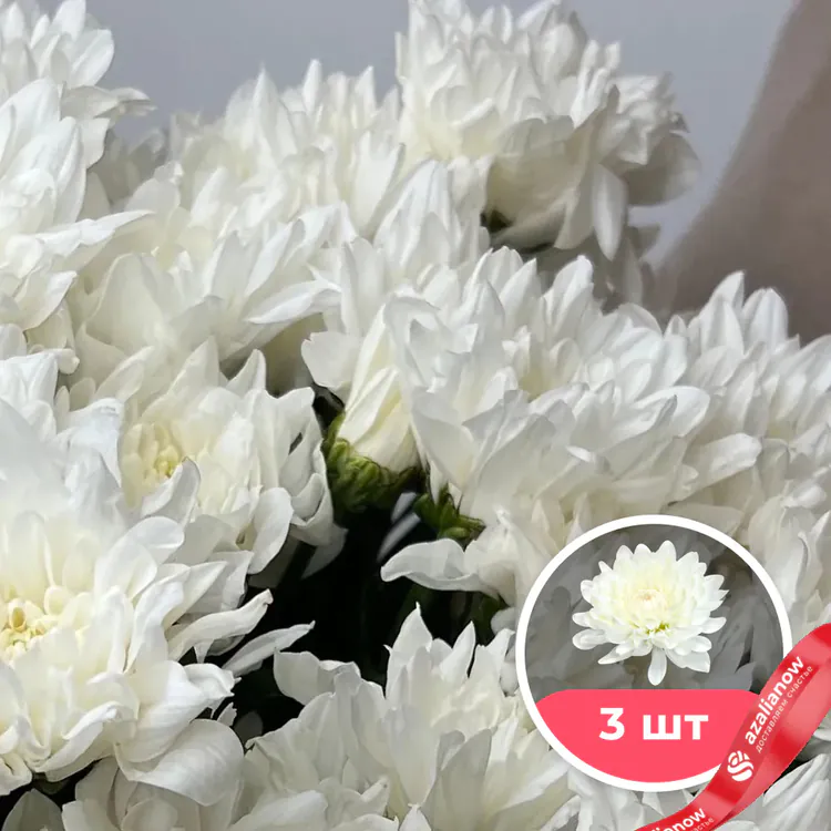 Фото 1: 3 белые кустовые хризантемы. Сервис доставки цветов AzaliaNow