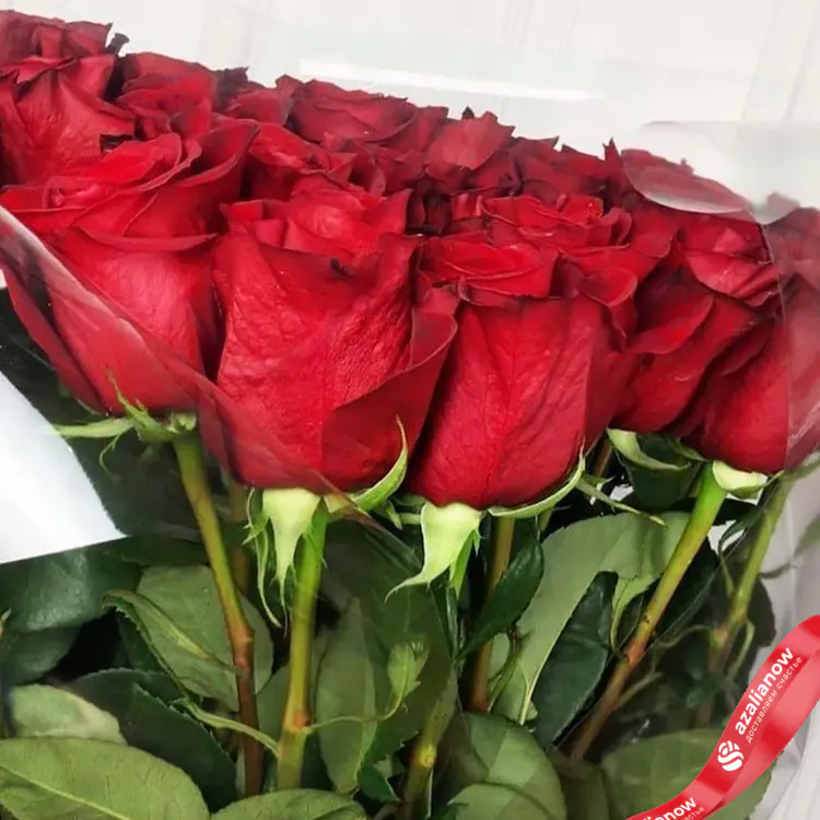 Фото 1: 31 красная роза в пленке. Сервис доставки цветов AzaliaNow
