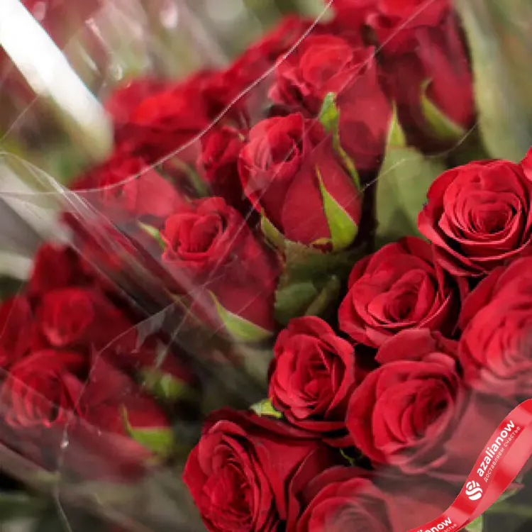 Фото 1: 33 красные розы в пленке. Сервис доставки цветов AzaliaNow