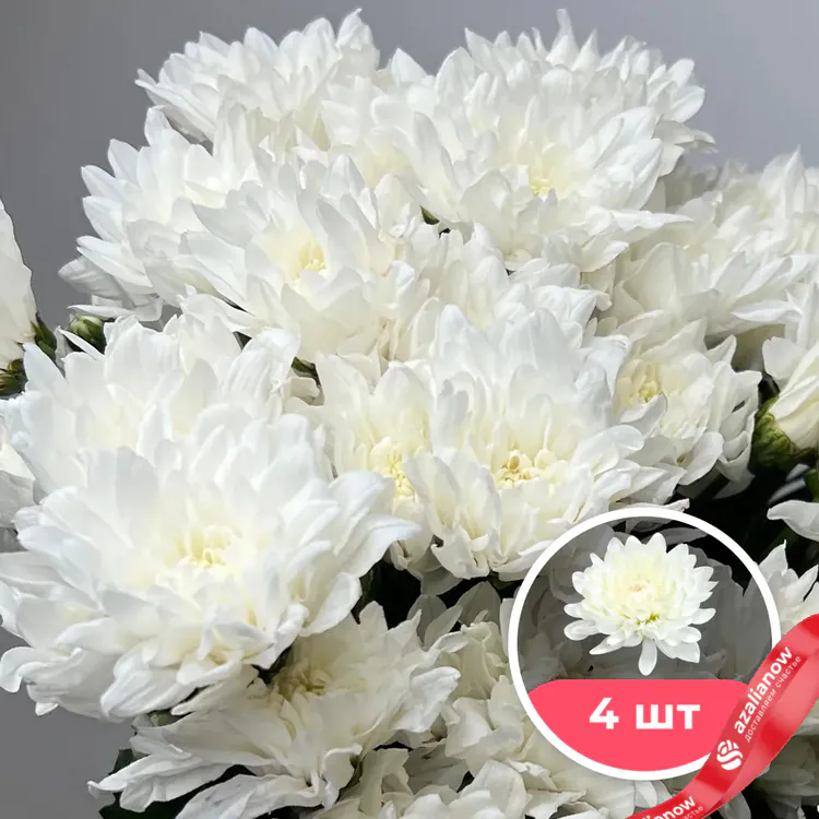Фото 1: 4 белые кустовые хризантемы. Сервис доставки цветов AzaliaNow