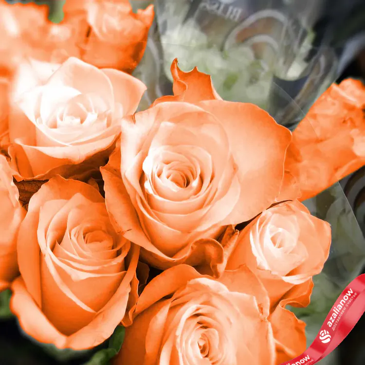 Фото 1: 43 оранжевые розы в пленке. Сервис доставки цветов AzaliaNow