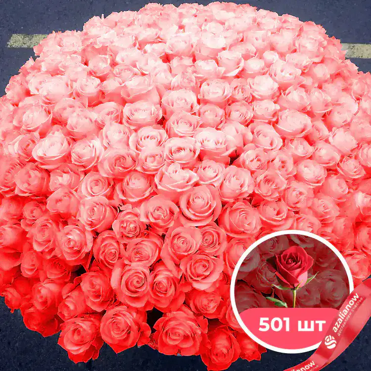 Фото 1: 501 коралловая роза. Сервис доставки цветов AzaliaNow