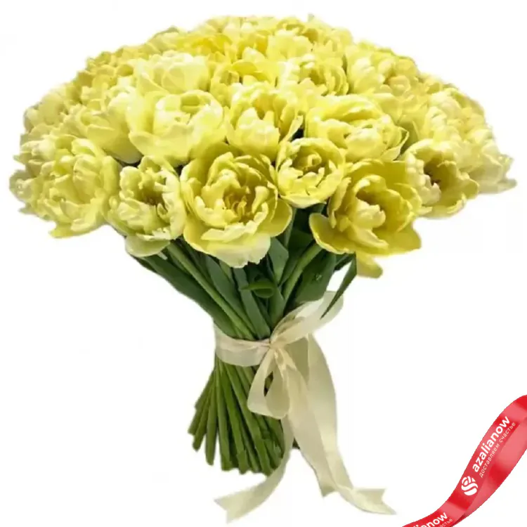 Фото 1: 51 пионовидный нежно желтый тюльпан. Сервис доставки цветов AzaliaNow