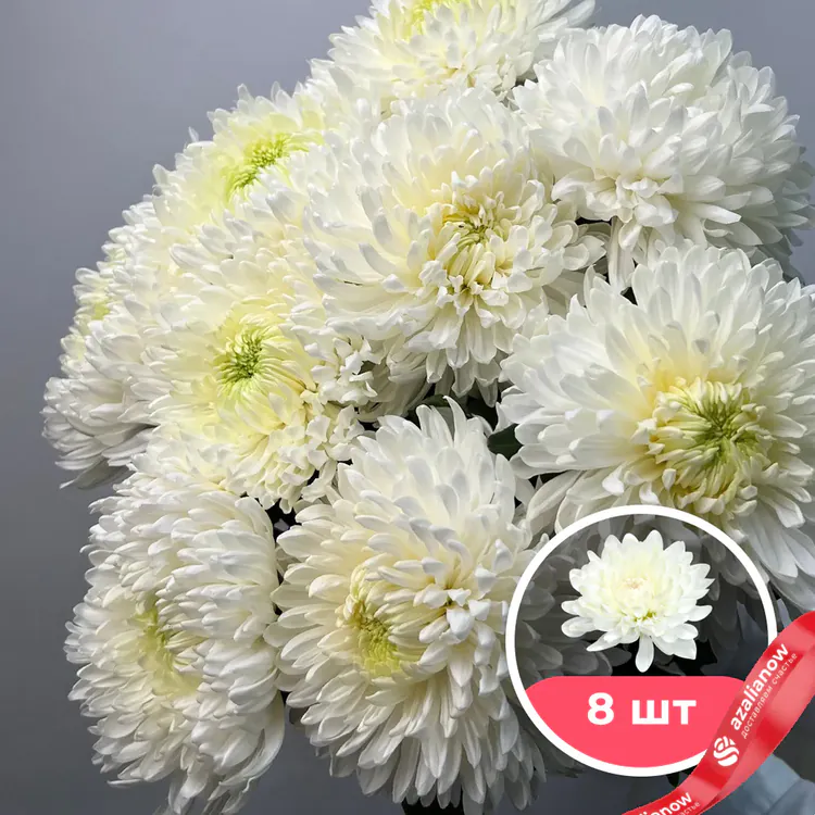 Фото 1: 8 белых одноголовых хризантем. Сервис доставки цветов AzaliaNow