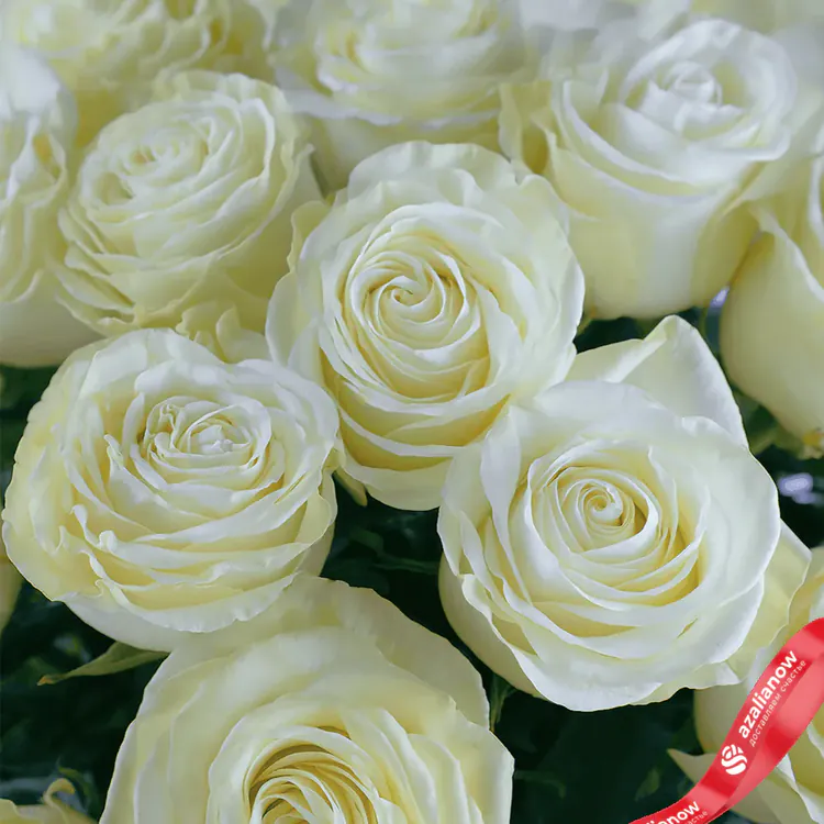 Фото 3: Привет 19 роз Эквадор 70 см Merci в подарок. Сервис доставки цветов AzaliaNow