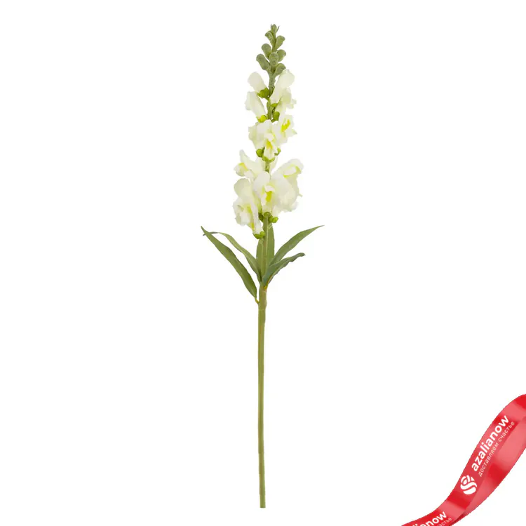 Фото 1: Антирринум Искусственный 60 см Белый. Сервис доставки цветов AzaliaNow
