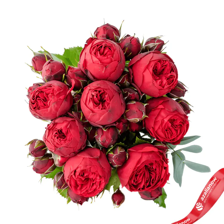 Пионовидные розы Недорого фото