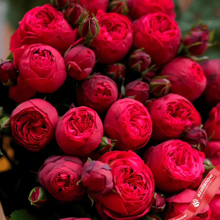Фото 3: 15 роз Ред Пиано. Сервис доставки цветов AzaliaNow
