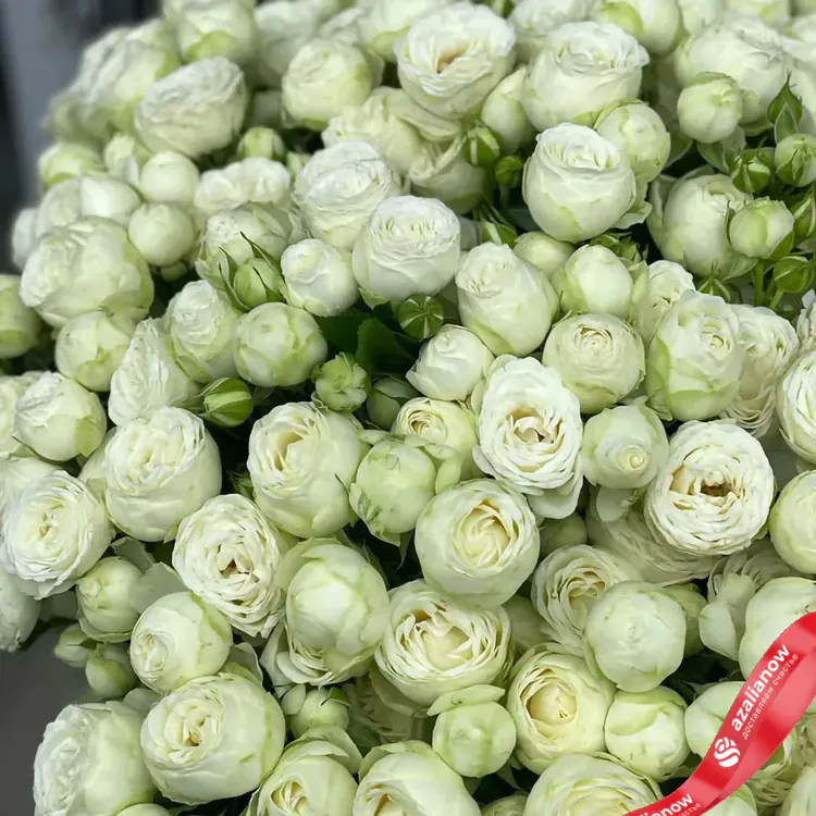 Фото 3: Букет из 15 кустовых пионовидных белых роз. Сервис доставки цветов AzaliaNow