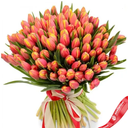 Фото 1: 101 коралловый тюльпан. Сервис доставки цветов AzaliaNow