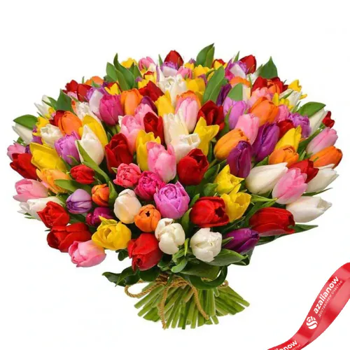 Фото 1: 101 разноцветный тюльпан микс. Сервис доставки цветов AzaliaNow