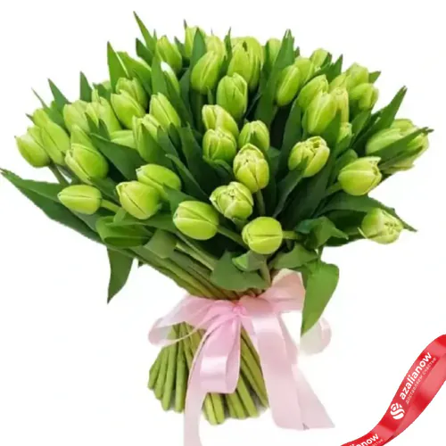 Фото 1: 101 салатовый тюльпан. Сервис доставки цветов AzaliaNow