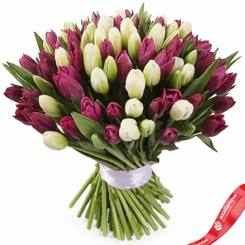 Фото 1: 101 сиреневый и белый тюльпан. Сервис доставки цветов AzaliaNow