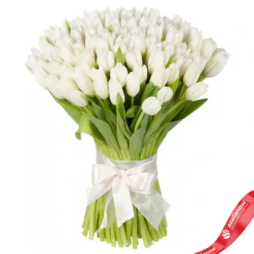 Фото 1: 101 белый тюльпан №2. Сервис доставки цветов AzaliaNow
