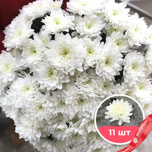 Фото 1: 11 белых кустовых хризантем. Сервис доставки цветов AzaliaNow