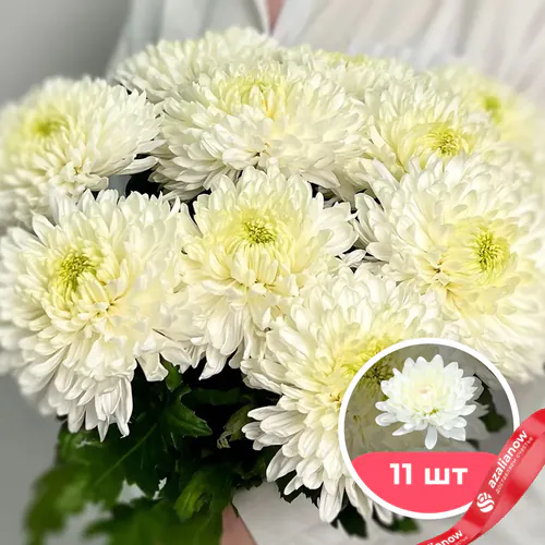 Фото 1: 11 белых одноголовых хризантем. Сервис доставки цветов AzaliaNow