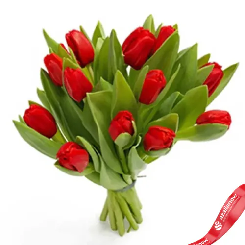 Фото 1: 11 красных тюльпанов №2. Сервис доставки цветов AzaliaNow
