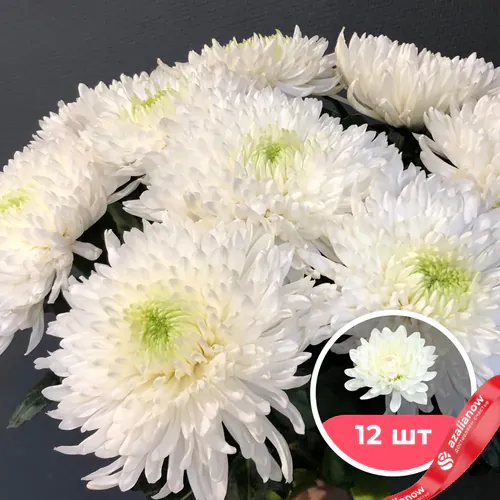 Фото 1: 12 белых одноголовых хризантем. Сервис доставки цветов AzaliaNow