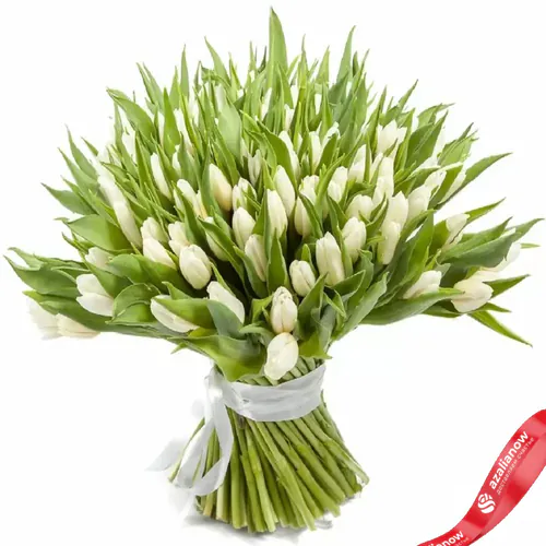 Фото 1: 151 снежно белый тюльпан. Сервис доставки цветов AzaliaNow