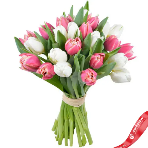 Фото 1: 19 пионовидных тюльпанов. Сервис доставки цветов AzaliaNow