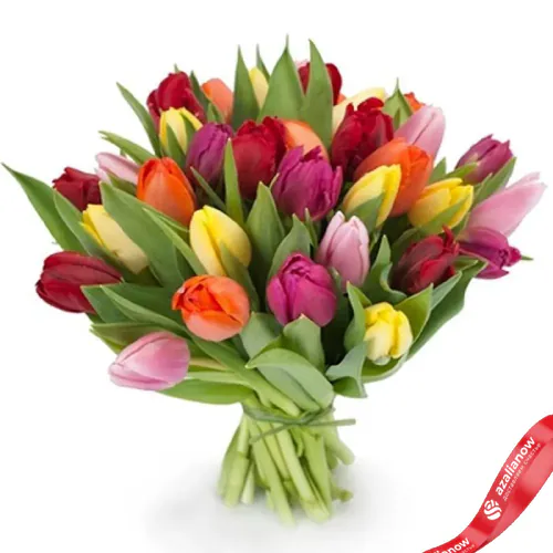 Фото 1: 19 разноцветных тюльпанов. Сервис доставки цветов AzaliaNow