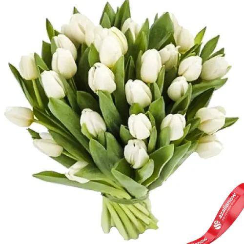 Фото 1: 25 белых тюльпанов. Сервис доставки цветов AzaliaNow