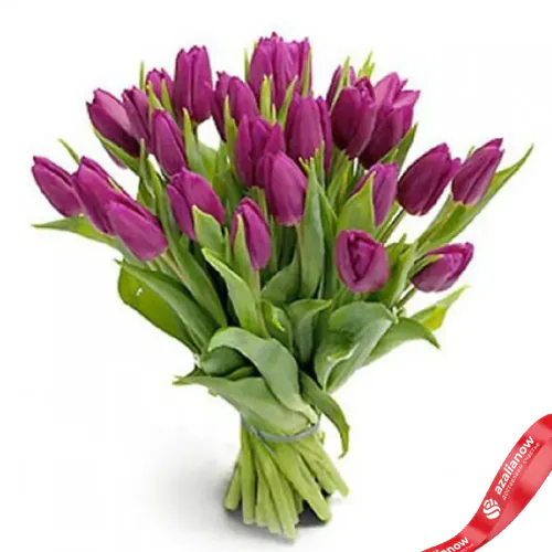 Фото 1: 25 фиолетовых тюльпанов. Сервис доставки цветов AzaliaNow