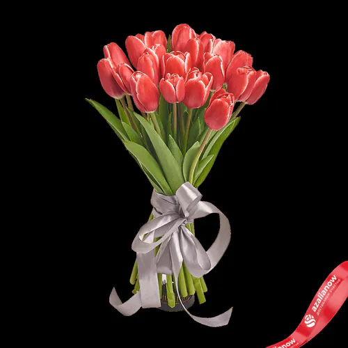 Фото 1: 25 красно-белых тюльпанов Сортовые тюльпаны. Сервис доставки цветов AzaliaNow