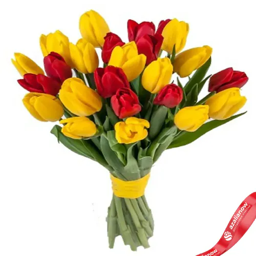Фото 1: 25 красных и желтых тюльпанов. Сервис доставки цветов AzaliaNow