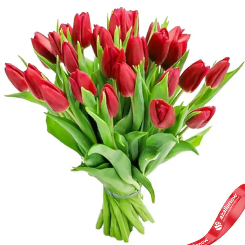Фото 1: 25 красных тюльпанов. Сервис доставки цветов AzaliaNow