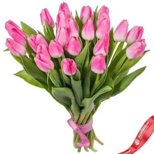 Фото 1: 25 розовых тюльпанов. Сервис доставки цветов AzaliaNow