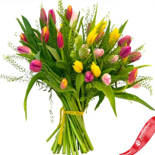 Фото 1: 25 весенних тюльпанов. Сервис доставки цветов AzaliaNow