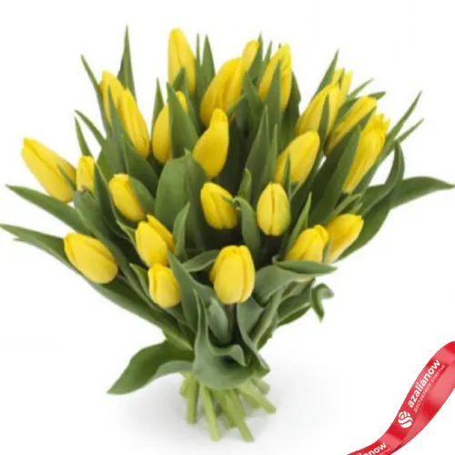Фото 1: 25 желтых тюльпанов. Сервис доставки цветов AzaliaNow