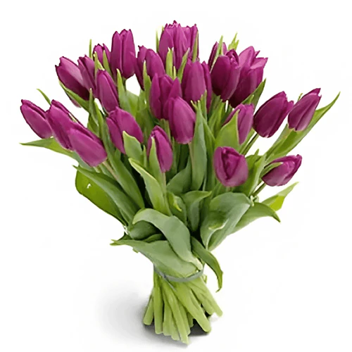 Фото 1: 25 фиолетовых тюльпанов М24. Сервис доставки цветов AzaliaNow