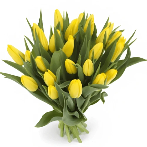 Фото 1: 25 желтых тюльпанов М24. Сервис доставки цветов AzaliaNow