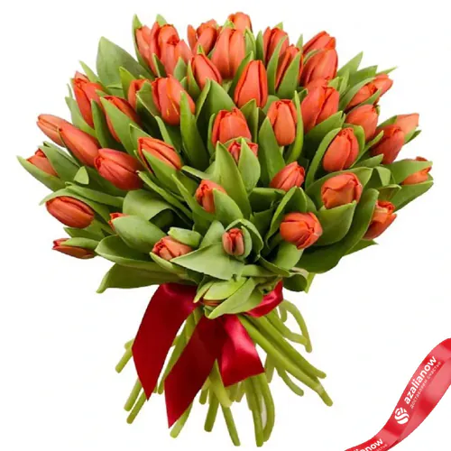 Фото 1: 31 алый и оранжевый тюльпан. Сервис доставки цветов AzaliaNow
