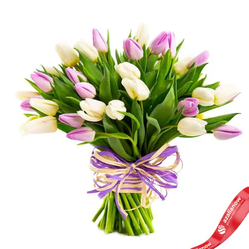 Фото 1: 31 белый и сиреневый тюльпан. Сервис доставки цветов AzaliaNow