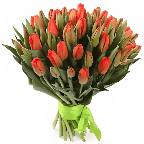 Фото 1: 31 красный тюльпан Сортовые тюльпаны. Сервис доставки цветов AzaliaNow