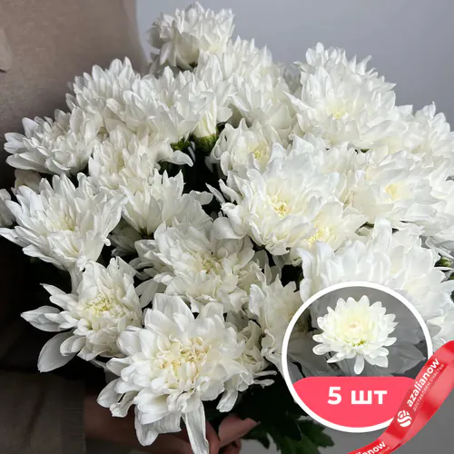 Фото 1: 5 белых кустовых хризантем. Сервис доставки цветов AzaliaNow