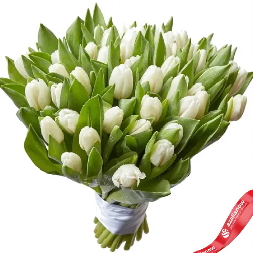 Фото 1: 51 белый тюльпан. Сервис доставки цветов AzaliaNow