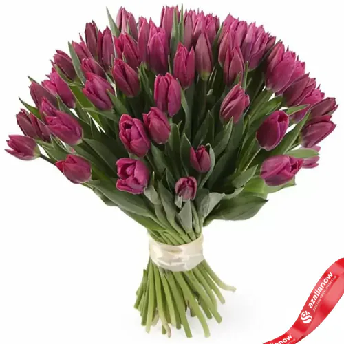 Фото 1: 51 чернильно фиолетовый тюльпан. Сервис доставки цветов AzaliaNow