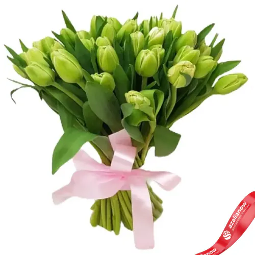 Фото 1: 51 салатовый тюльпан Сортовые тюльпаны. Сервис доставки цветов AzaliaNow
