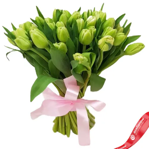 Фото 1: 51 салатовый тюльпан. Сервис доставки цветов AzaliaNow