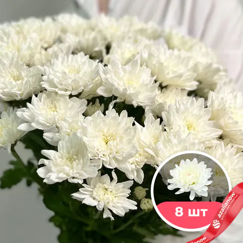 Фото 1: 8 белых кустовых хризантем. Сервис доставки цветов AzaliaNow
